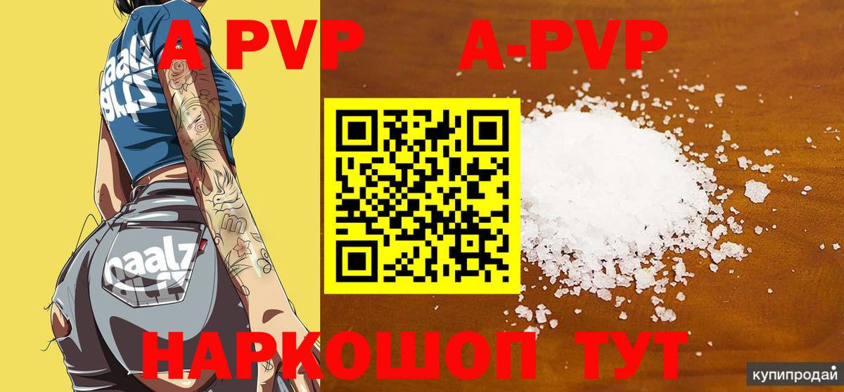 APVP СК Ейск