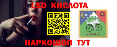 прущие грибы Камышлов