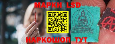 прущие грибы Камышлов