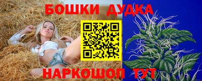 прущие грибы Камышлов