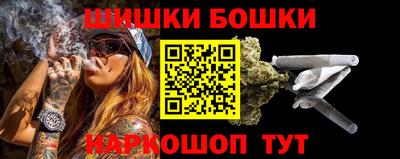 прущие грибы Кандалакша