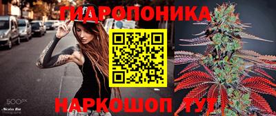 спиды Канаш