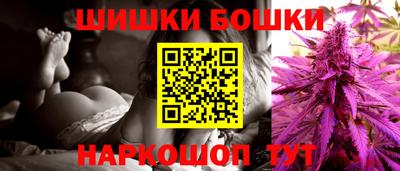 прущие грибы Кандалакша