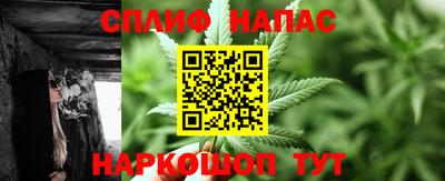 прущие грибы Камышлов