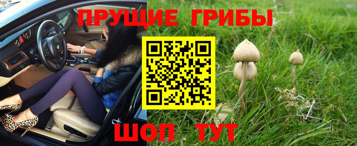 Псилоцибиновые грибы ЛСД  Вход с VPN  Псилоцибиновые грибы Magic Shrooms  Ейск 