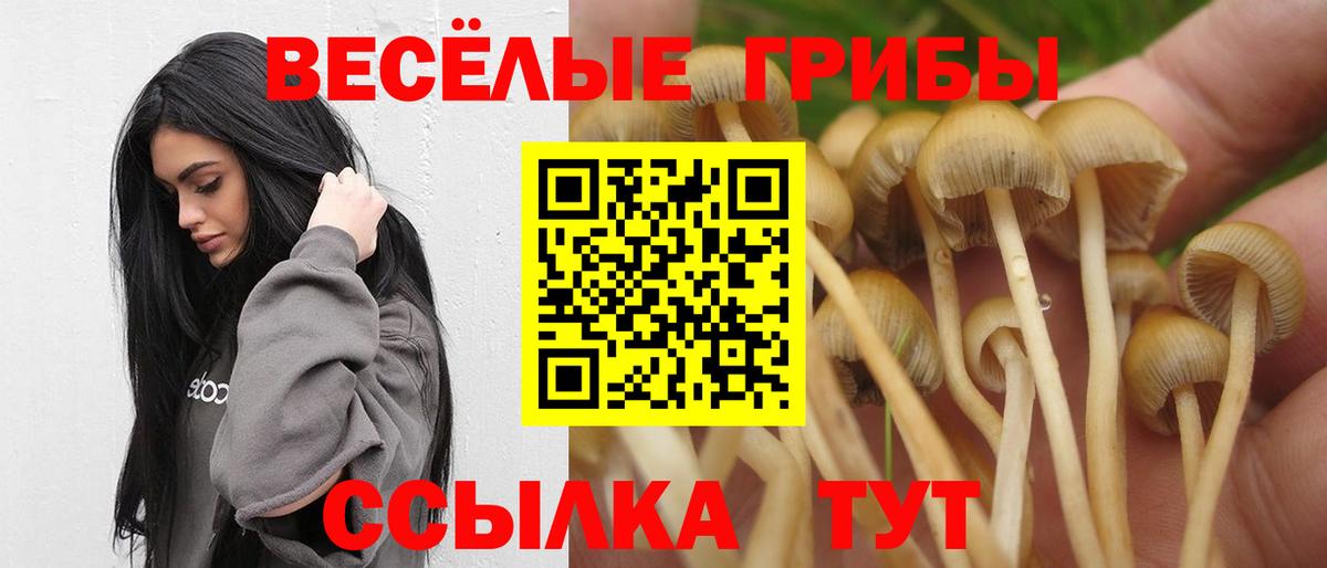 Псилоцибиновые грибы Magic Shrooms Ейск